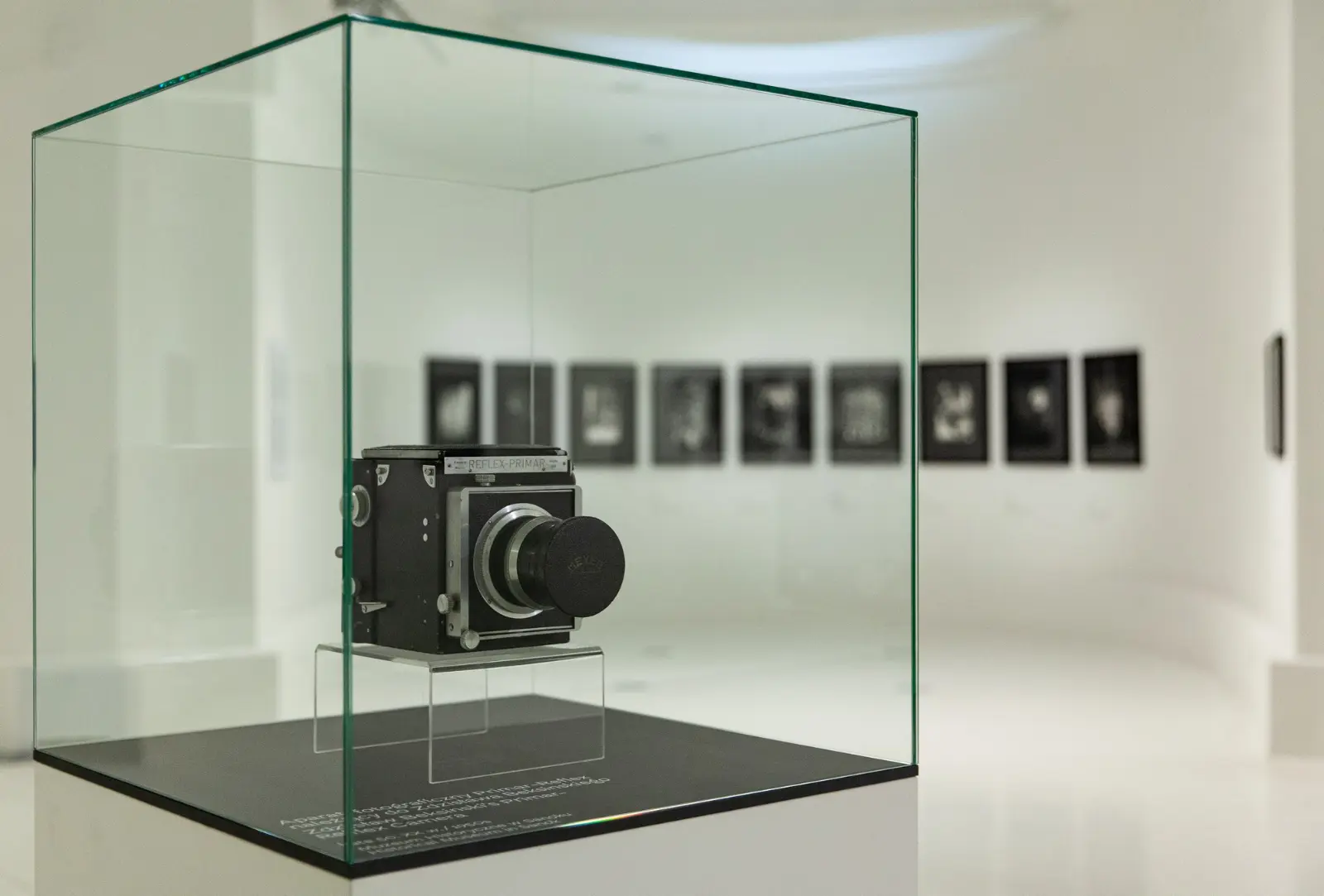 Widok wystawy „Fenomenalny. Zdzisław Beksiński”. Wielkoformatowy stary aparat fotograficzny REFLEX-PRIMAR wystawiony pod szklanym kloszem.