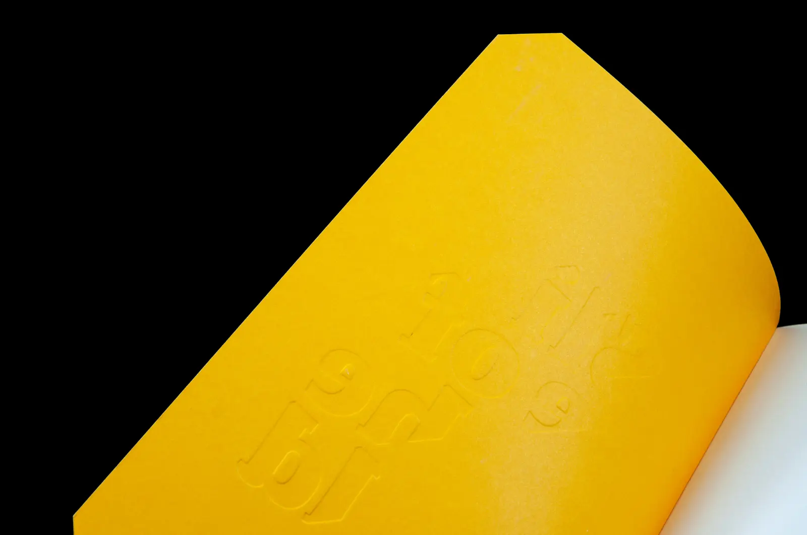 Close-up of the inner cover of the book. The embossed title is visible.